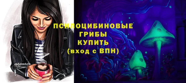 Альфа ПВП Каменка