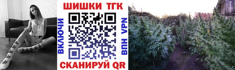 Канабис индика Купить где Ермолино